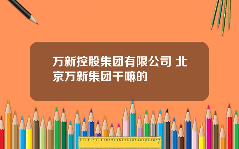 万新控股集团有限公司 北京万新集团干嘛的